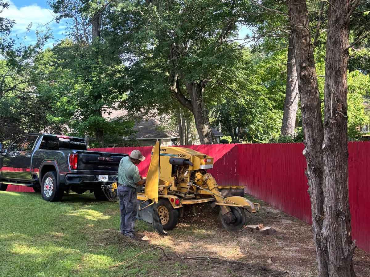 El Costeño Tree Service LLC